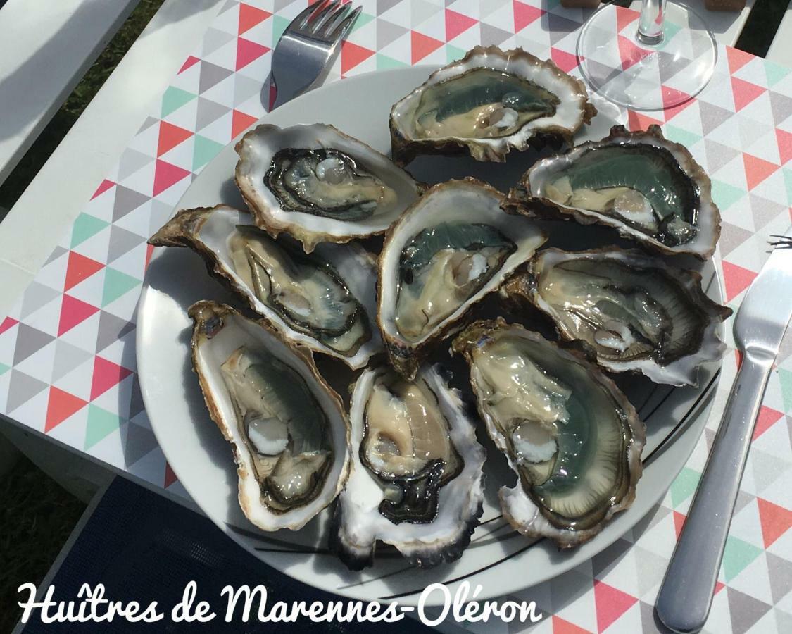 Willa Escale A L'Ile D'Oleron Le Château-dʼOléron Zewnętrze zdjęcie